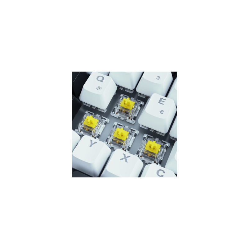 Tastiera Sharkoon SKILLER SGK50 S3 Wh, Gateron Yellow