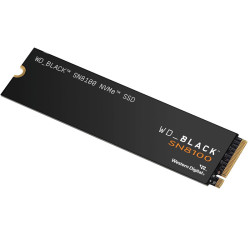 WD_BLACK SN8100 PCIe Gen 5 NVMe SSD 42TB